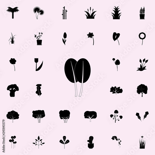 spinach icon. Plants icons universal set for web and mobile