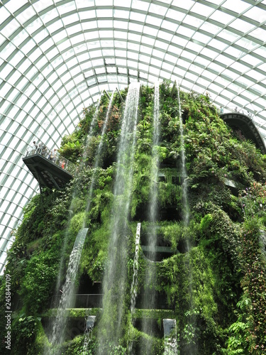 looking up at the waterfall in the biodome in the singapore gardens