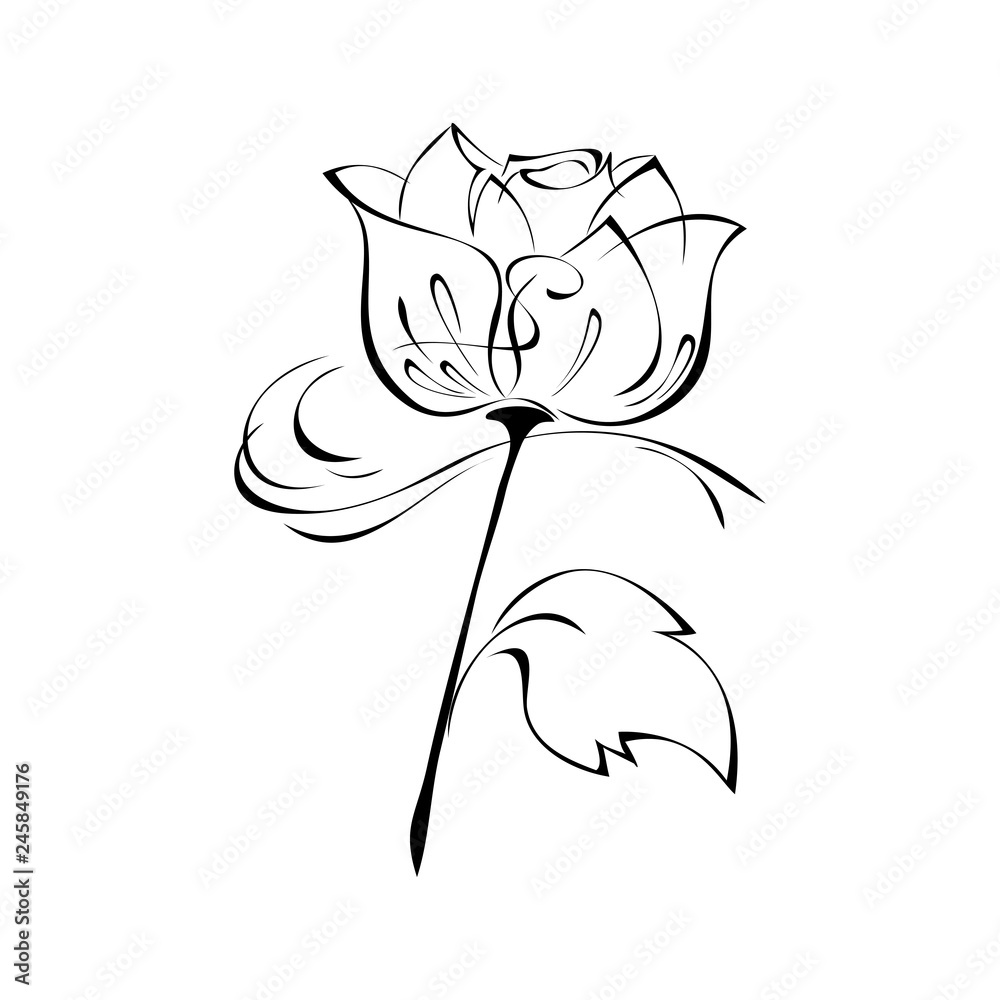 one stylized rose flower on a short stem with a leaf in black lines on a white background