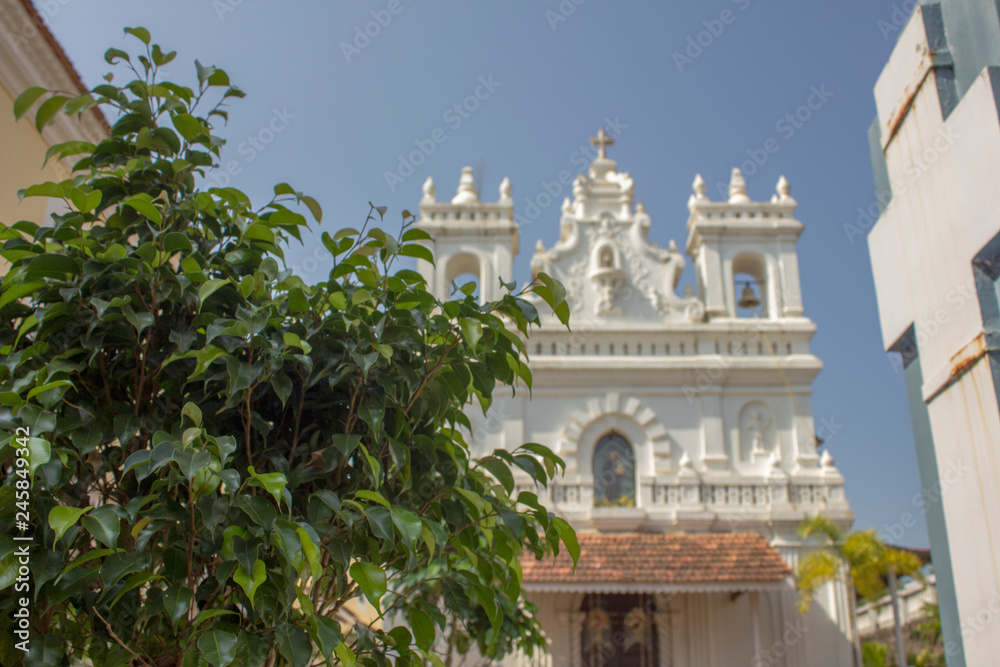 green bush on blurred background of white catholic church and clear blue sky
