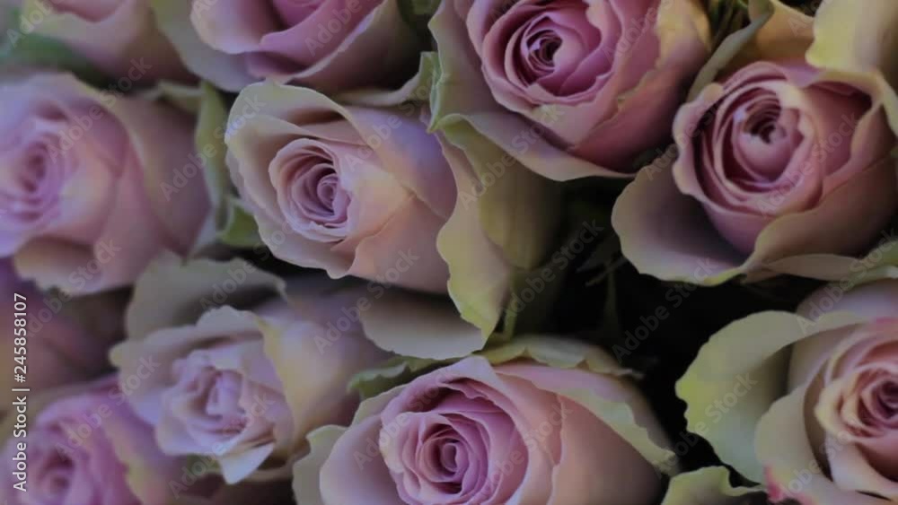 A large rotating bouquet of roses in iridescent multi-colored light A large rotating bouquet of roses in iridescent multi-colored light