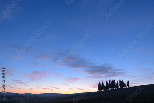 group of tree in tuscany Italy morning sunrise ,colorful sky