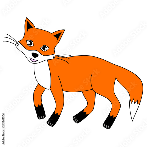 Sweet and good-natured red Fox isolated on a white background.