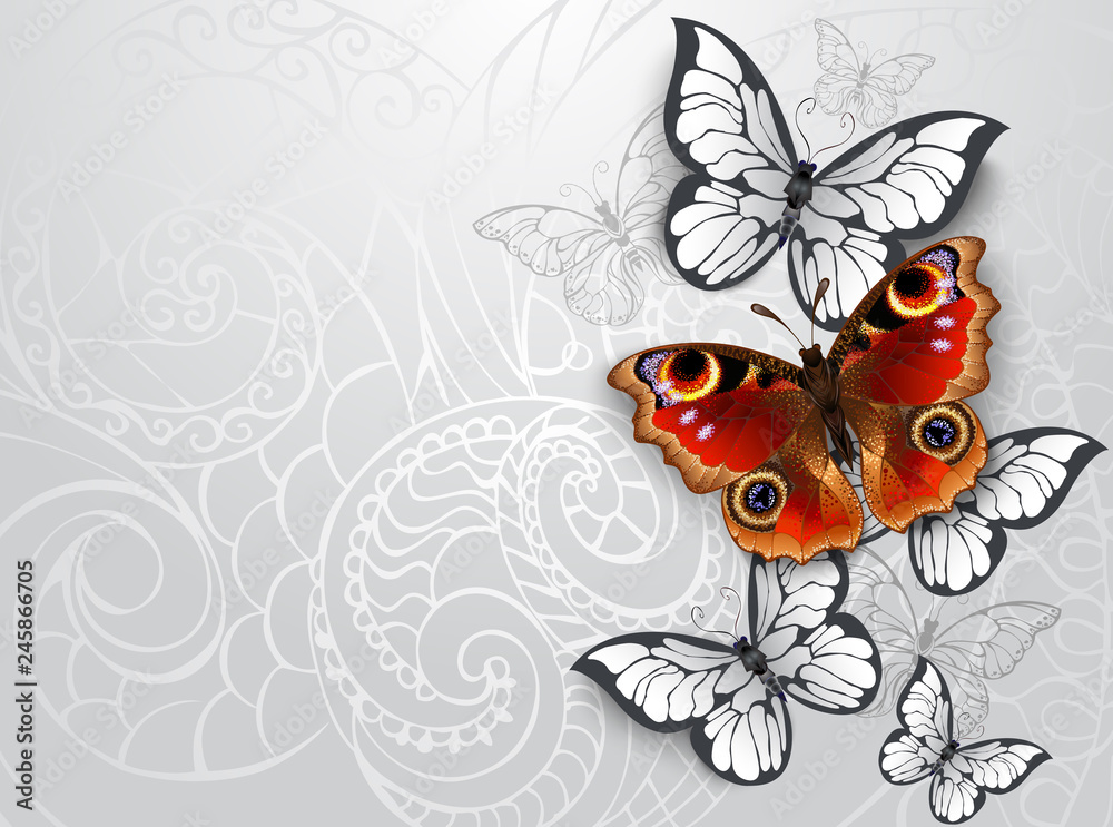 gray background with peacock butterfly Stock Illustration | Adobe Stock