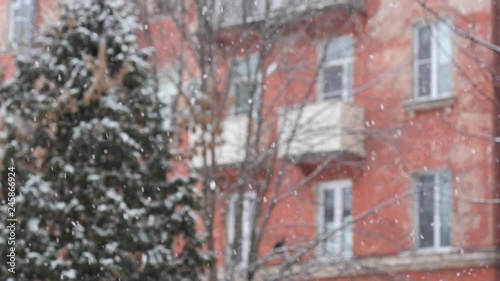 heavy snow white snowflakes on a residential background.