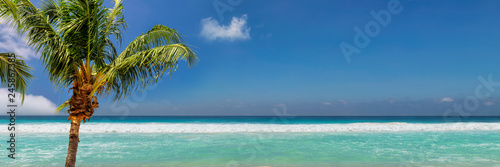 Panoramic beach background with coconut palms and turquoise sea.  Holiday and vacation concept. 