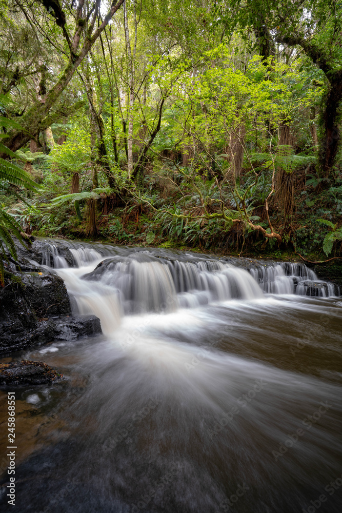 waterfall in forest