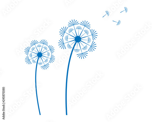 Fototapeta Naklejka Na Ścianę i Meble -  Illustration of concept dandelion. Vector logo