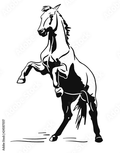 Vector silhouette of the pony standing on hind legs.