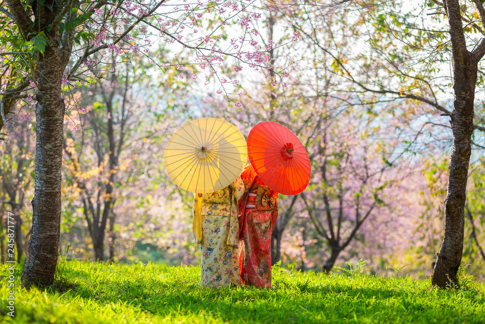 Asian beautiful woman wearing traditional japanese kimono and cherry blossom in spring, Japan.