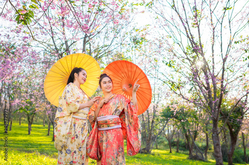Asian beautiful woman wearing traditional japanese kimono and cherry blossom in spring, Japan.