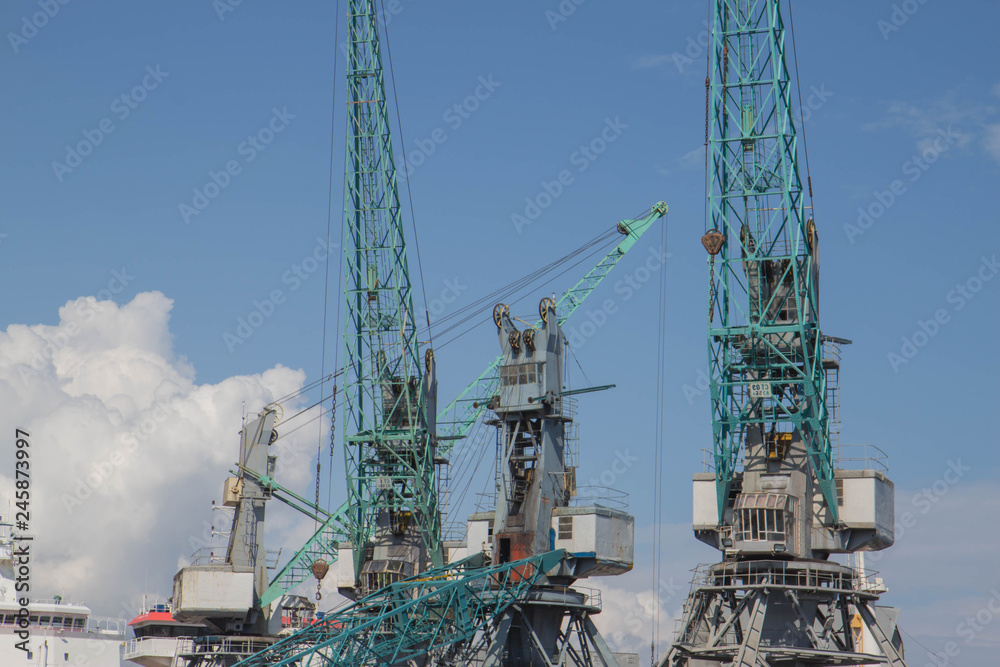 Cargo Cranes in Industrial Port. Sea port, cargo crane expects the ship for loading