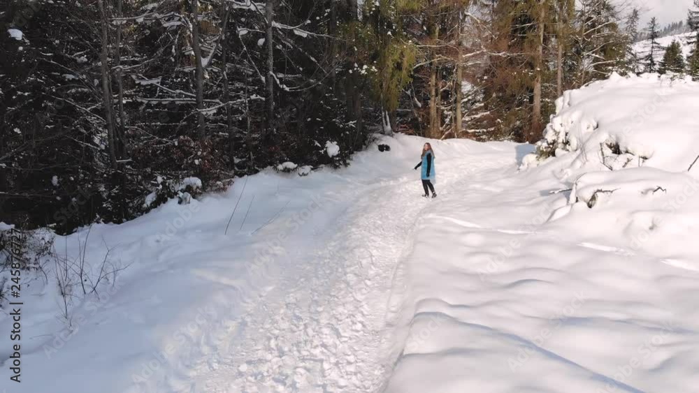 Young beautiful girl walking in the snowy winter forest. She is happy and calm. The girl looks on the sides. The sun is shining. Shooting from the quadcopter. Slow motion. Full HD. Young beautiful girl walking in the snowy winter forest. She is happy and calm. The girl looks on the sides. The sun is shining. Shooting from the quadcopter. Slow motion. Full HD.