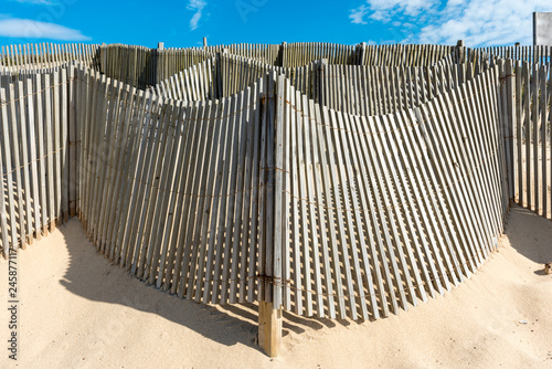 Sand dune stabilization on the beach of Granja situated between Esphino and Porto in the north of Portugal photo