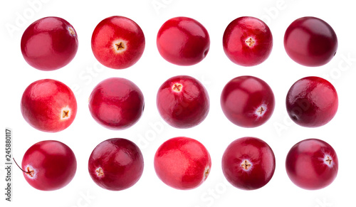Cranberries collection, cranberry isolated on white background photo