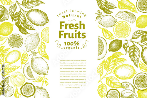 Vintage citrus banner template. Lemon tree design. Hand drawn vector fruit illustration. Engraved style menu cover.