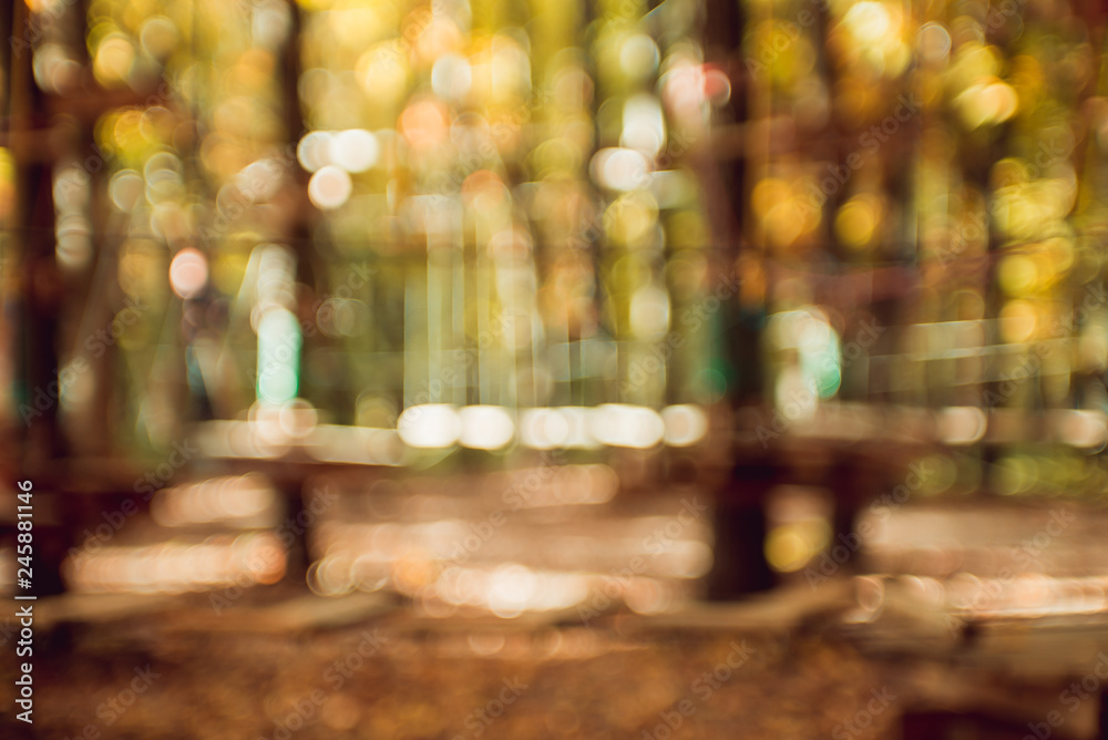 Fototapeta premium Autumnal park. Blurred background. Bright colorful bokeh.