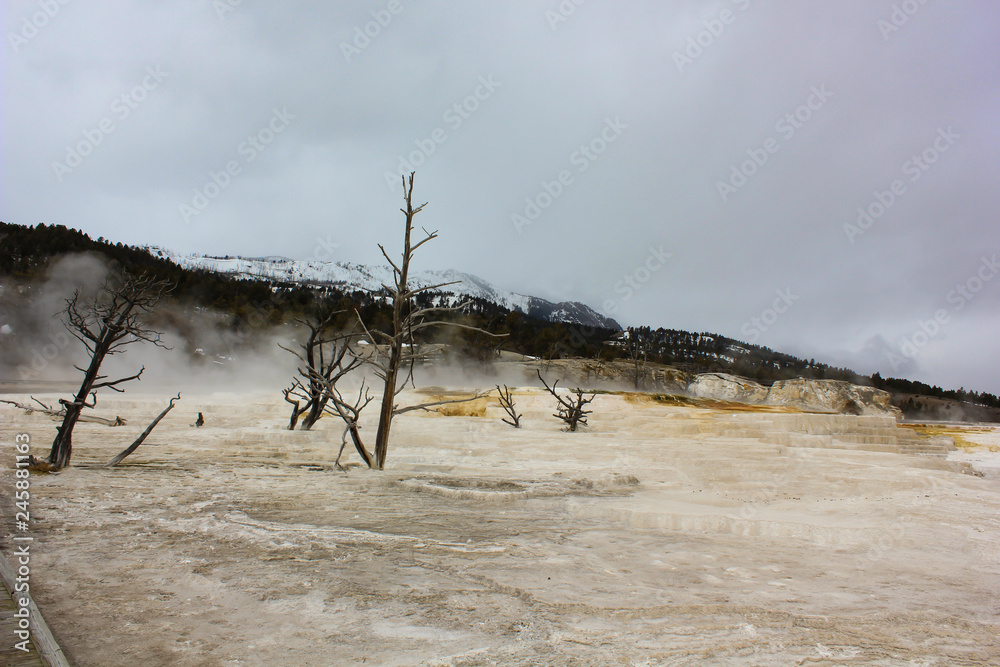 barren landscape