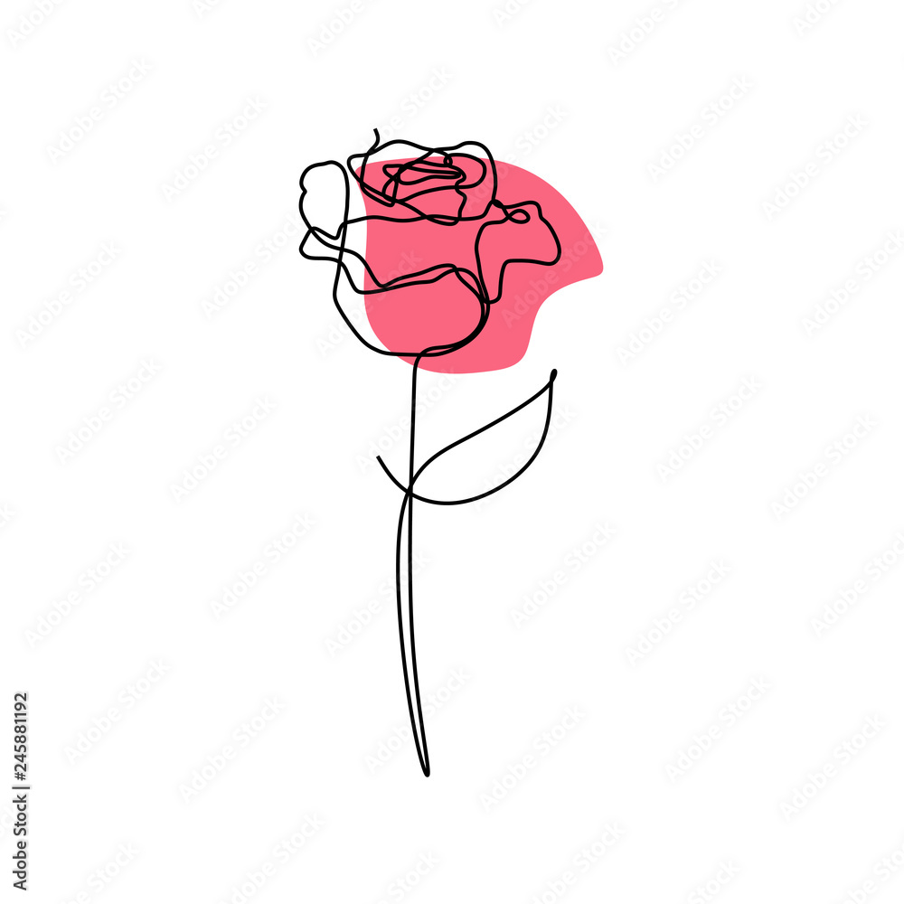Fototapeta Continuous line art drawing of rose flower blooming minimalist design vector illustration
