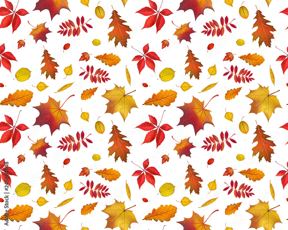 Bright flying autumn leaves seamless pattern isolated on white background. Horizontal nature illustration for your fall design Bright flying autumn leaves seamless pattern isolated on white background. Horizontal nature illustration for your fall design