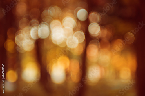 Autumnal park. Blurred background. Bright colorful bokeh. © romaset