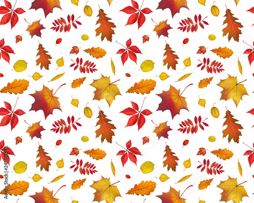 Bright flying autumn leaves seamless pattern isolated on white background. Horizontal nature illustration for your fall design