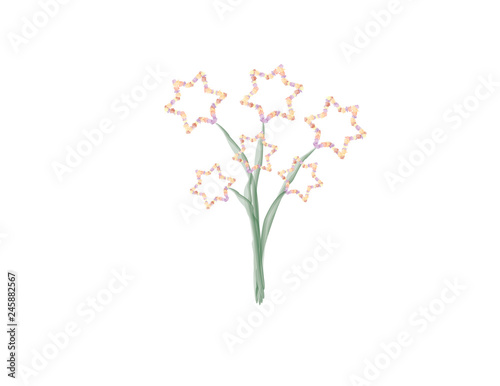 Fototapeta Naklejka Na Ścianę i Meble -  Star of David flowers illustrations on White background