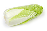 Whole napa cabbage on a white background