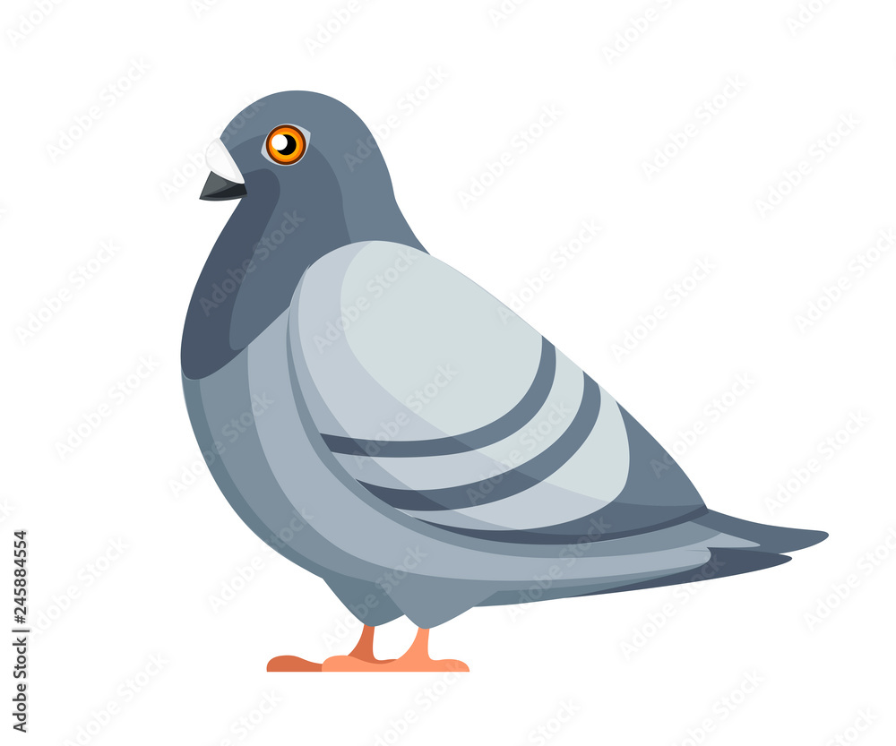 Pigeon bird sitting Flat cartoon character design Colorful bird icon