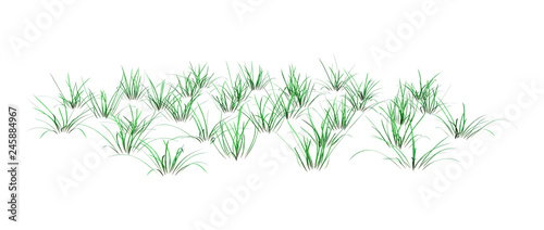 3D Rendering Green Grass on White