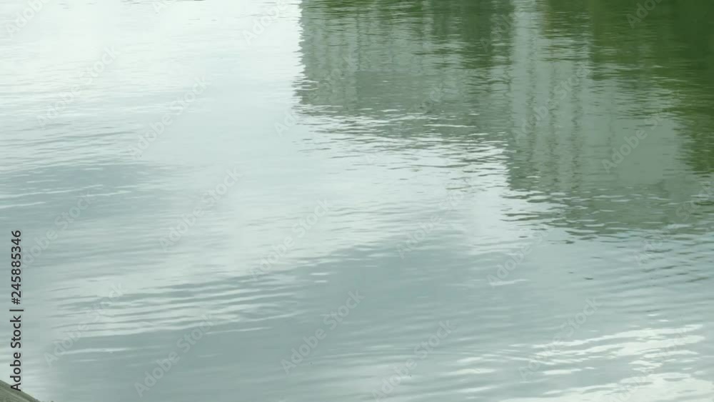 Reflections on smooth rippling water surface Reflections on smooth rippling water surface