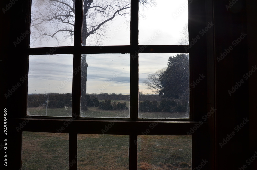 looking through dirty window glass with trees and grass
