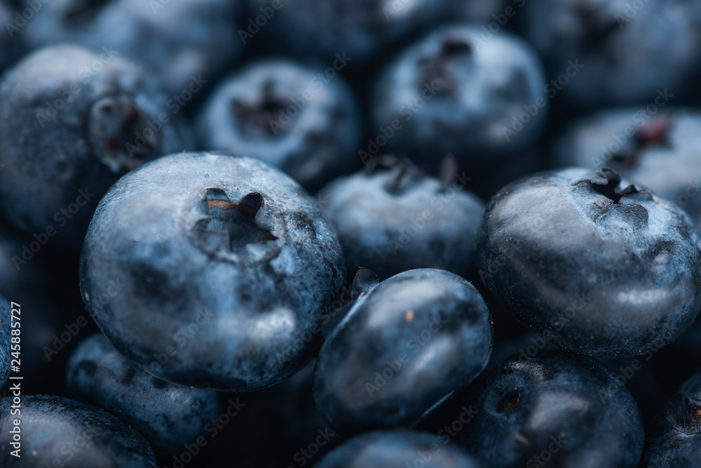 Fresh blueberry background. Texture blueberry berries close up Fresh blueberry background. Texture blueberry berries close up