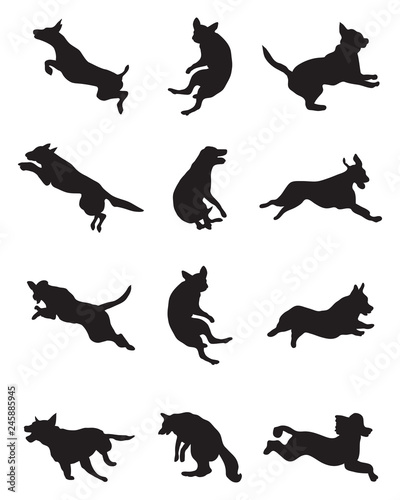 Black silhouettes of dogs in a jump on a white background