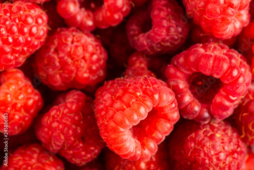 Raspberry fruit background, red berry