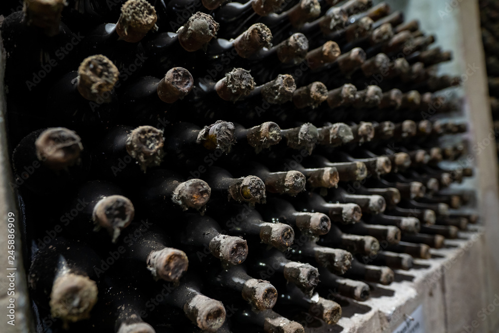 Rack full of wine bottles aging in wine cellar Rack full of wine bottles aging in wine cellar