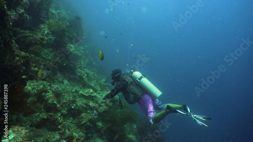 Scuba diver explores underwater coral reef and watching fish.Scuba diver underwater in tropical sea.Tropical fish on coral reef. Diving and snorkeling in tropical sea. © Alex Traveler