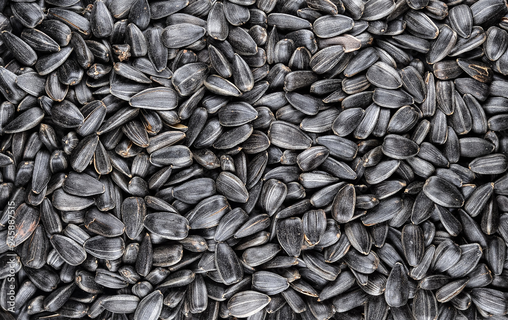 Black sunflower seeds for texture or background Black sunflower seeds for texture or background