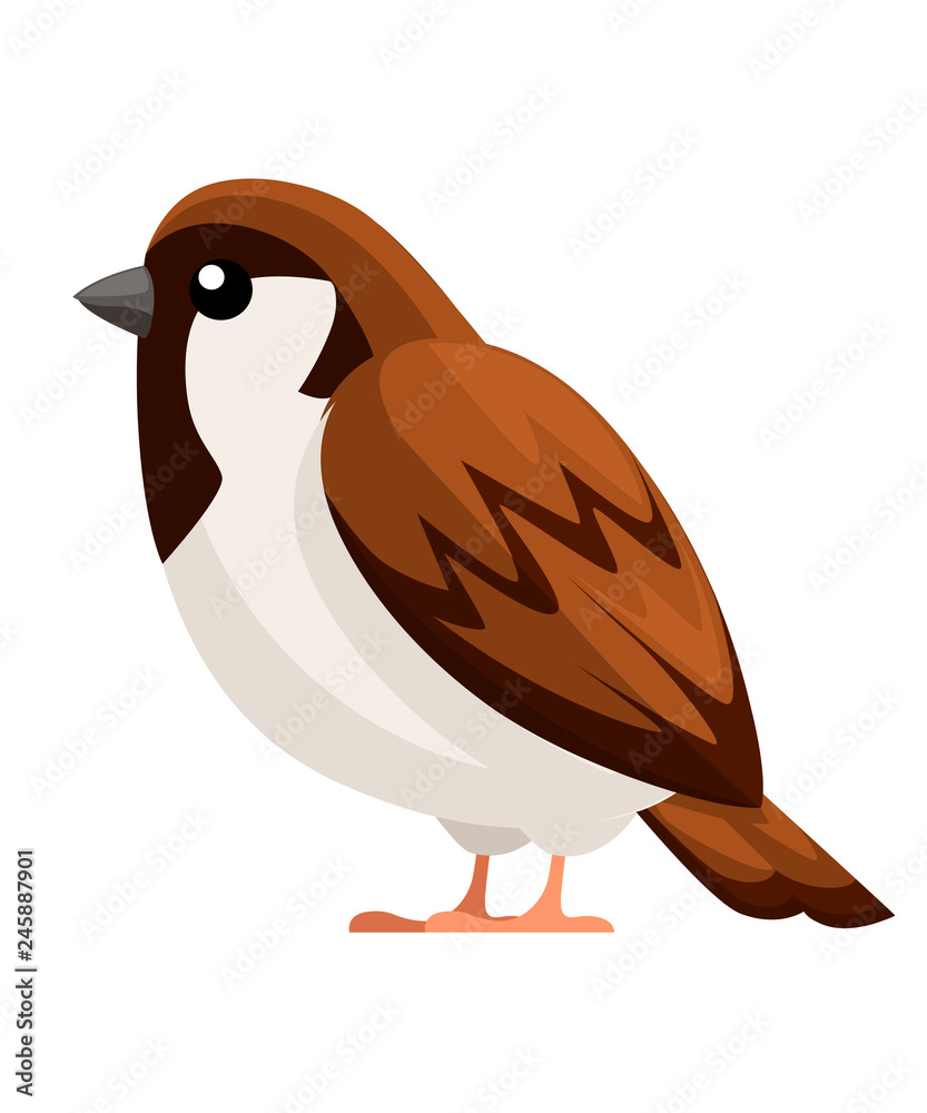 Side view of Sparrow bird sitting. Flat cartoon character design. Colorful  bird icon. Cute sparrow for world sparrow day. Vector illustration isolated  on white background Stock Vector | Adobe Stock