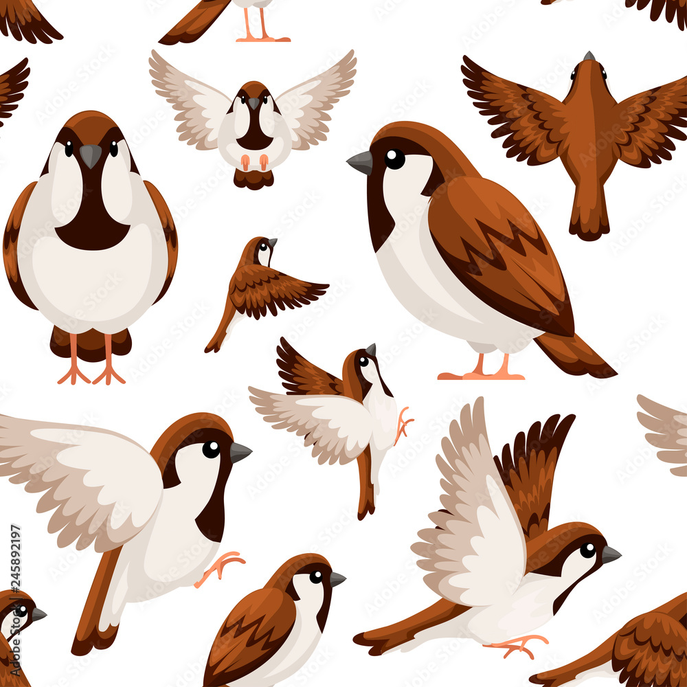 Seamless pattern. Colorful Icon set of Sparrow bird. Flat cartoon character  design. Bird icon in different side of view. Cute sparrow for world sparrow  day. Vector illustration on white background Stock Vector |