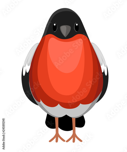 Front view of Bullfinch bird sitting. Flat cartoon character design. Colorful bird icon. Cute bullfinch template. Winter bird. Vector illustration isolated on white background