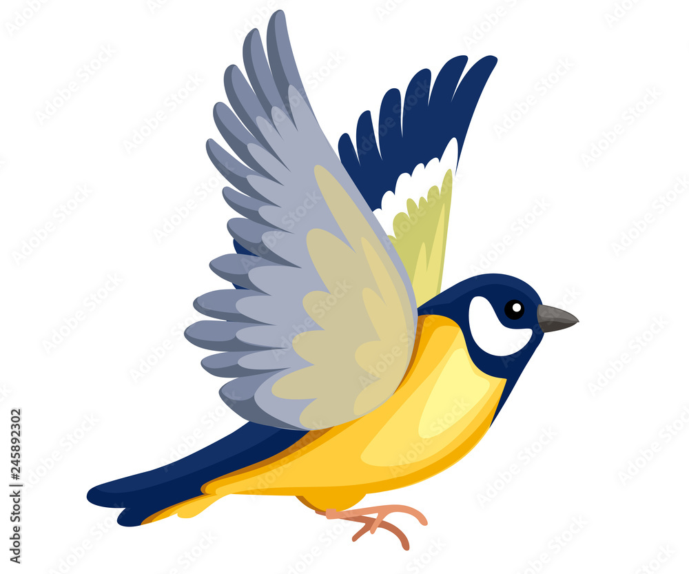 Naklejka premium Side view of flying Titmouse bird. Flat cartoon character design. Colorful bird icon. Cute titmouse template. Vector illustration isolated on white background