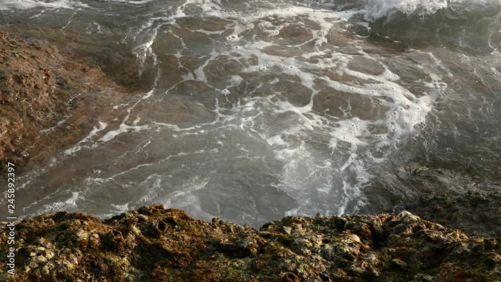 Ocean waves hit the rocks on the tropical beach.
Ocean waves hit the rocks on the tropical beach.