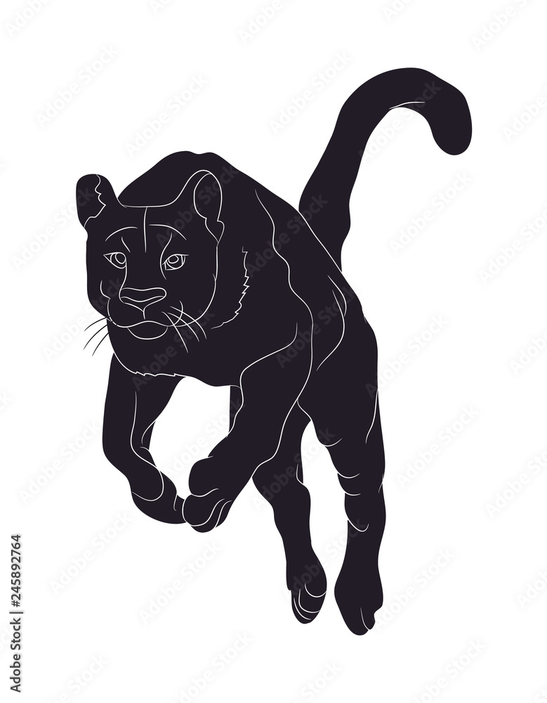 Obraz premium panther silhouette, vector