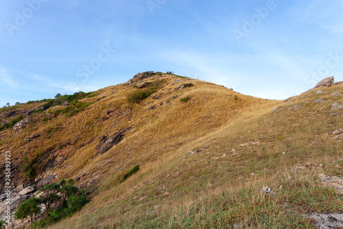 Dry grass on the mountain with blue sky background