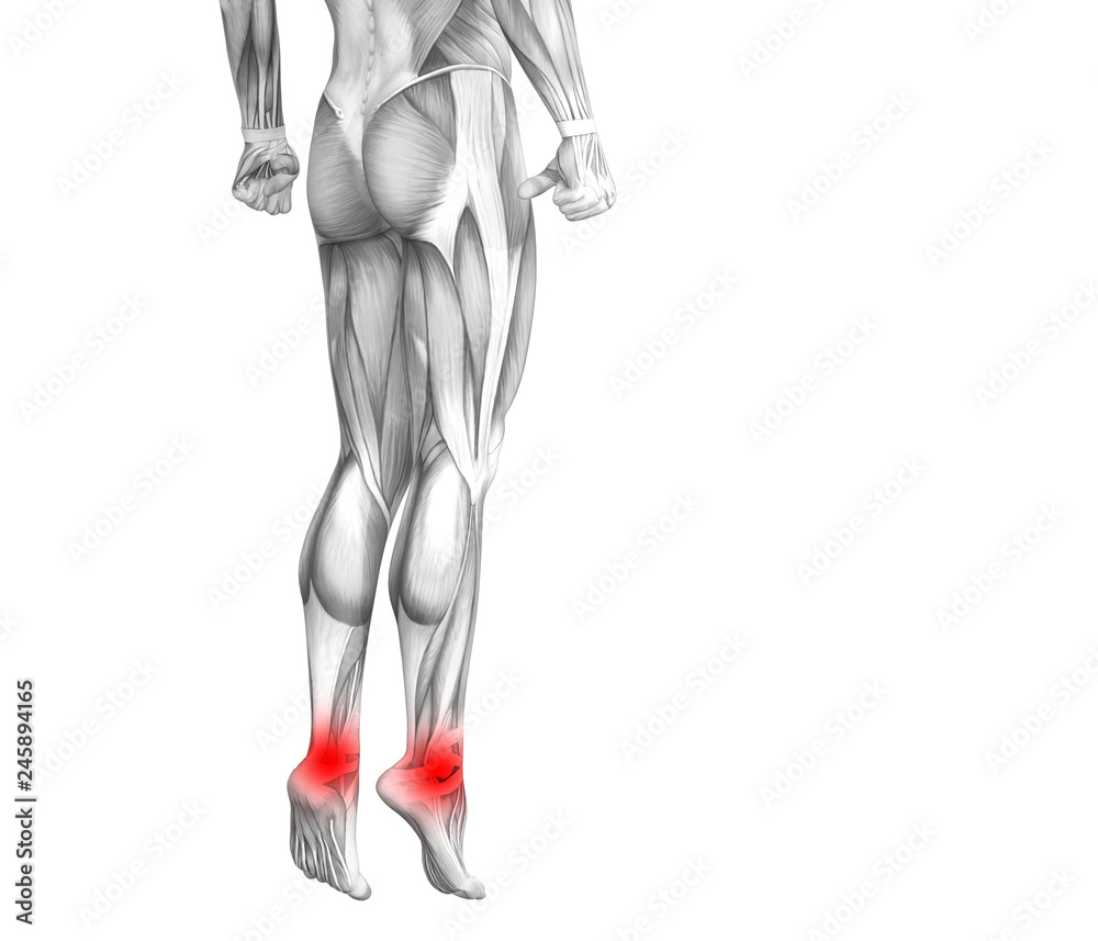 Conceptual ankle human anatomy with red hot spot inflammation or articular joint pain for leg health care therapy or sport muscle concepts. 3D illustration man arthritis or bone osteoporosis disease Conceptual ankle human anatomy with red hot spot inflammation or articular joint pain for leg health care therapy or sport muscle concepts. 3D illustration man arthritis or bone osteoporosis disease