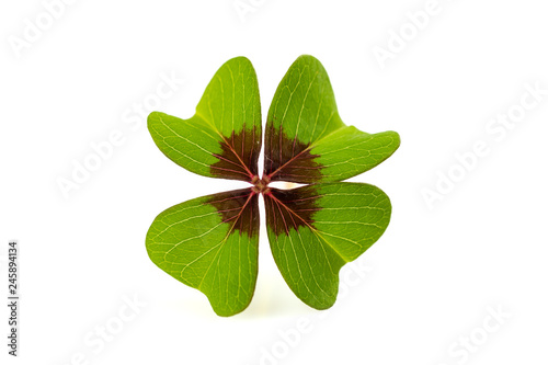 green clover sign for luck