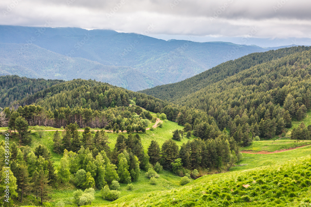 Mountain scenery with evergreen forest, a fresh green grass, a dirt country road, and dark low clouds on a cloudy summer day. Landscape at North Caucasus mountains. Karachay-Cherkessia, Russia Mountain scenery with evergreen forest, a fresh green grass, a dirt country road, and dark low clouds on a cloudy summer day. Landscape at North Caucasus mountains. Karachay-Cherkessia, Russia