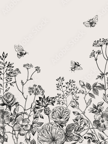 Wild and herbs plants set. Botanical hand drawn sketch. Spring flowers. Vector design. Can use for greeting cards, wedding invitations, patterns.