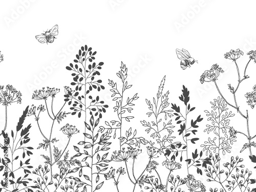 Wild and herbs plants set. Botanical hand drawn sketch. Spring flowers. Vector design. Can use for greeting cards, wedding invitations, patterns.